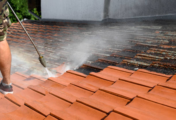 Best Residential Pressure Washing Services  in Rogers, AR